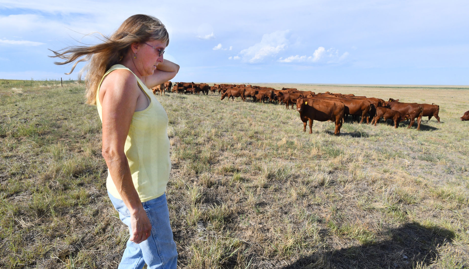 Mental Health Rural